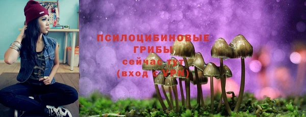 таблы Арсеньев