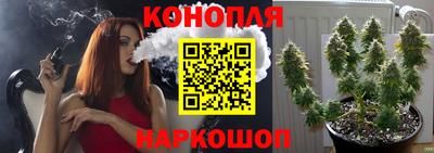крисы Сланцы