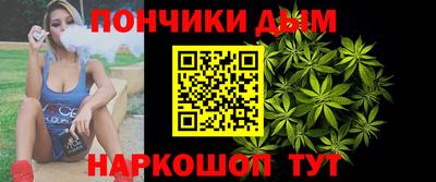 крисы Сланцы