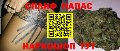 ПСИЛОЦИБИНОВЫЕ ГРИБЫ Славгород