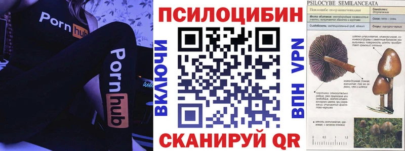 где можно купить наркотик  Рыбинск  Псилоцибиновые грибы ЛСД 
