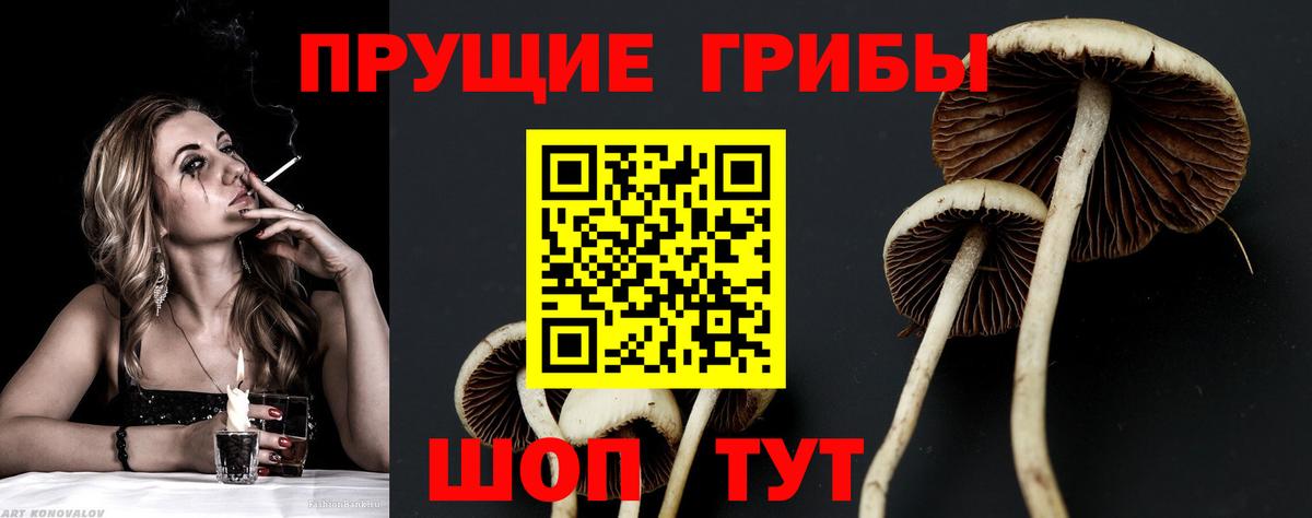 Галлюциногенные грибы прущие грибы Рыбинск